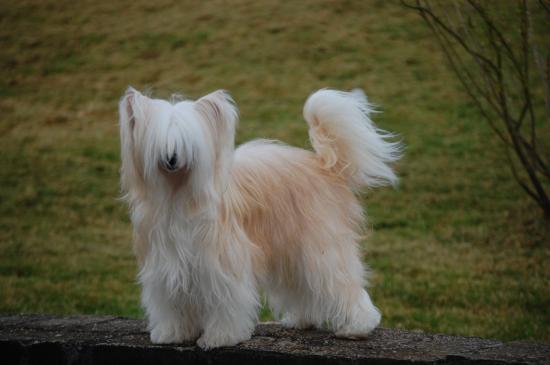 La reine du jardin..