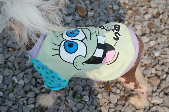 Mon t-shirt et le soleil..