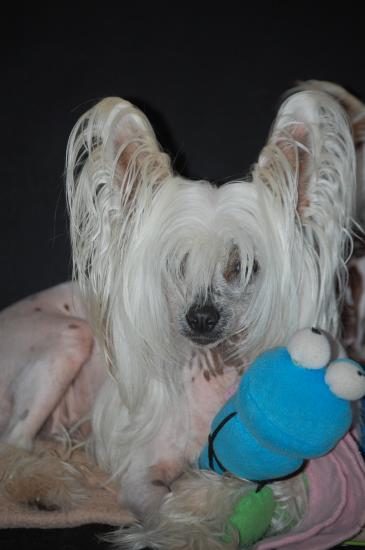 j'ai attrapé une drôle de bebete!