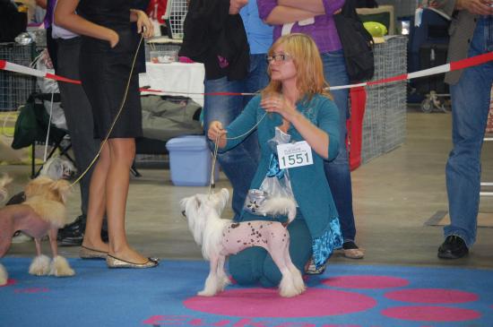 Ma Gimy qui attend le juge...