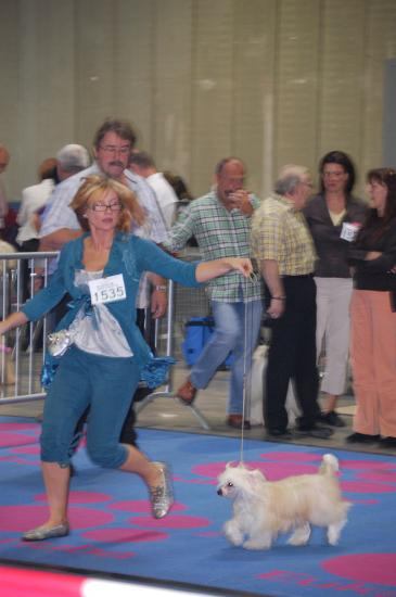 Allez, courage, encore un tour!