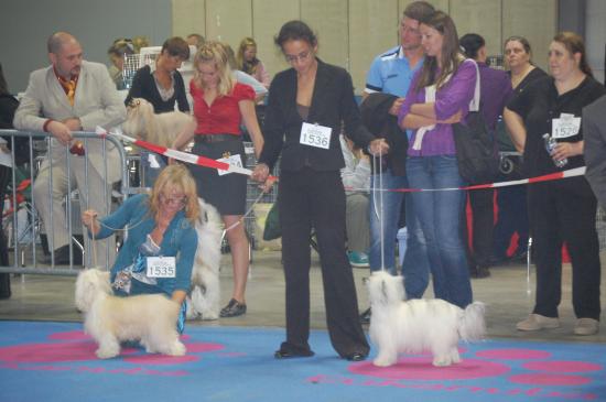 Aika championne du Luxembourg