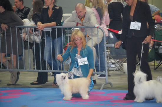 Aika championne du Luxembourg