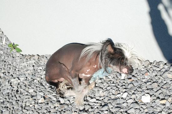 Profitons des derniers rayons de soleil...