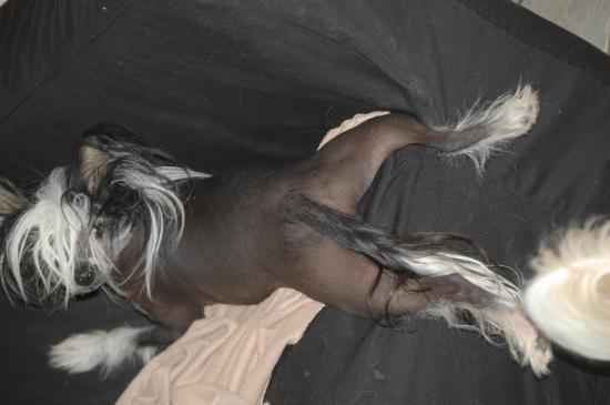 petite scéance de yoga!