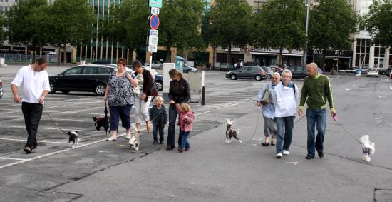 Rendez-vous pour notre promenade...