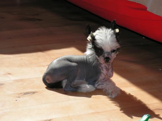 Ah le soleil....et les chinois, une grande histoire d'amour