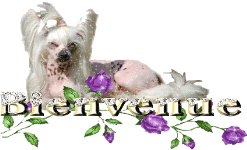 Création de notre amie Nenette