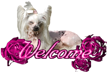 Bonjour de notre Gimy