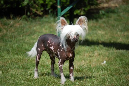 Bronzage d'été....