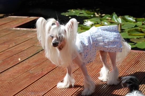 Spécialement pour Mimma..