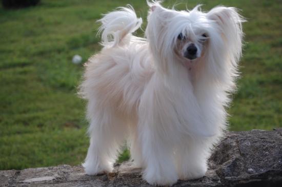 Toute en élégance..