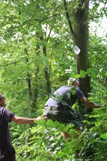 Chasse aux trésors