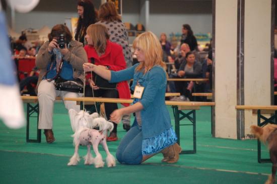 Bravo ma Gimy! Maastricht, beau résultats!