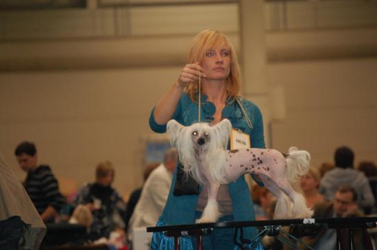 Maas, cacib pour Gimy