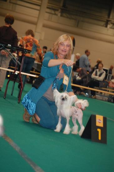 Bravo!!! Cacib pour notre Game girl à Maastricht