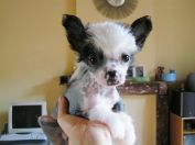 Enfin à la maison...