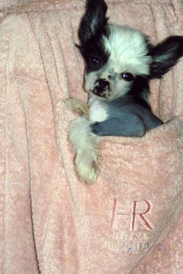 Pas mal la poche de maman...