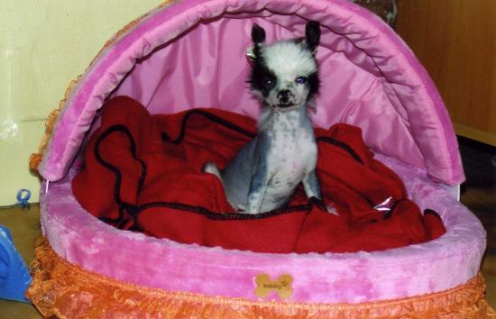 Perdue dans son panier...