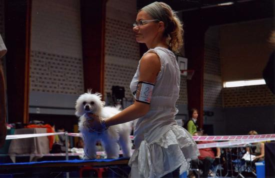 Première expo d'Aika, Leuven..