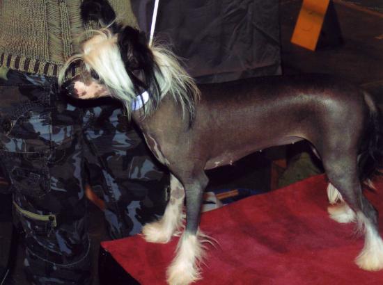 Pemière expo pour Mystik à Leuven..