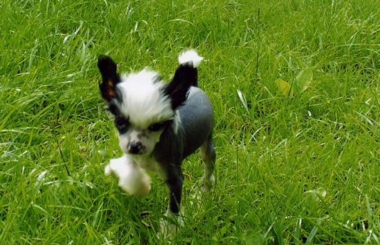 Qu'est ce qu'elle est grande cette herbe....