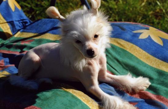  Premier rayon de soleil pour Game girl...