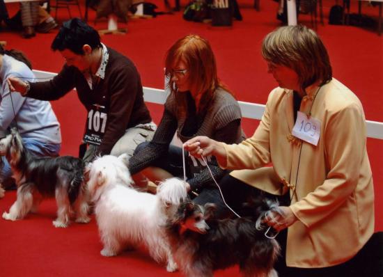 Speciale de Bourges 2008
