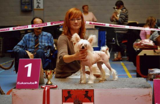 Début d'expo pour Game girl qui nous fait meilleur jeune et meilleur jeune au ring d'honneur...quel bonheur!