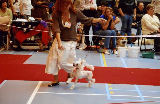 Une des premières expo de notre Gimy