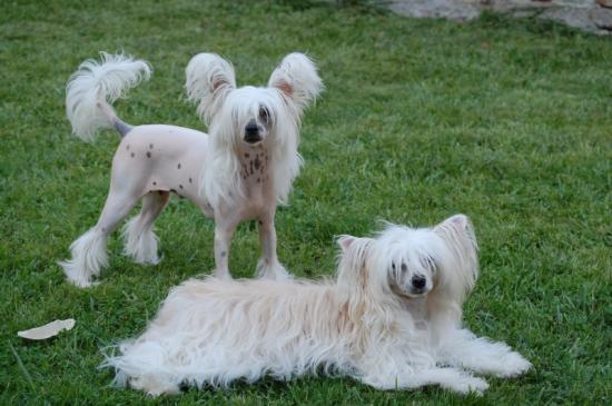 Les filles prennent la pose